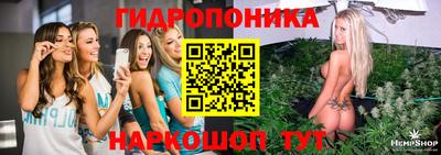 дмт Краснознаменск