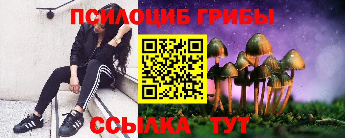 Галлюциногенные грибы мицелий Избербаш